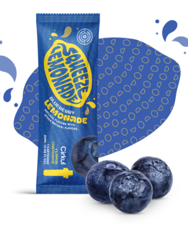 Add-on: Blueberry Lemonade